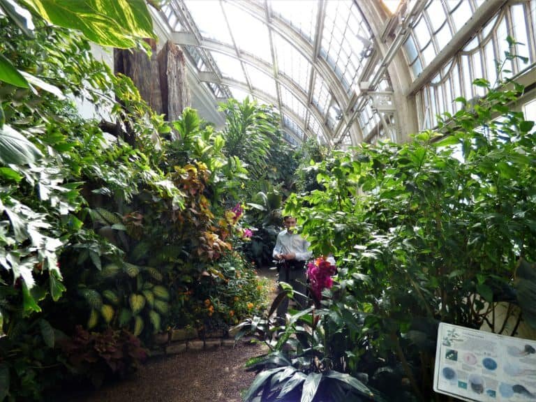 Schmetterlinghaus - Vienna's Butterfly House - Luxurious Nomad