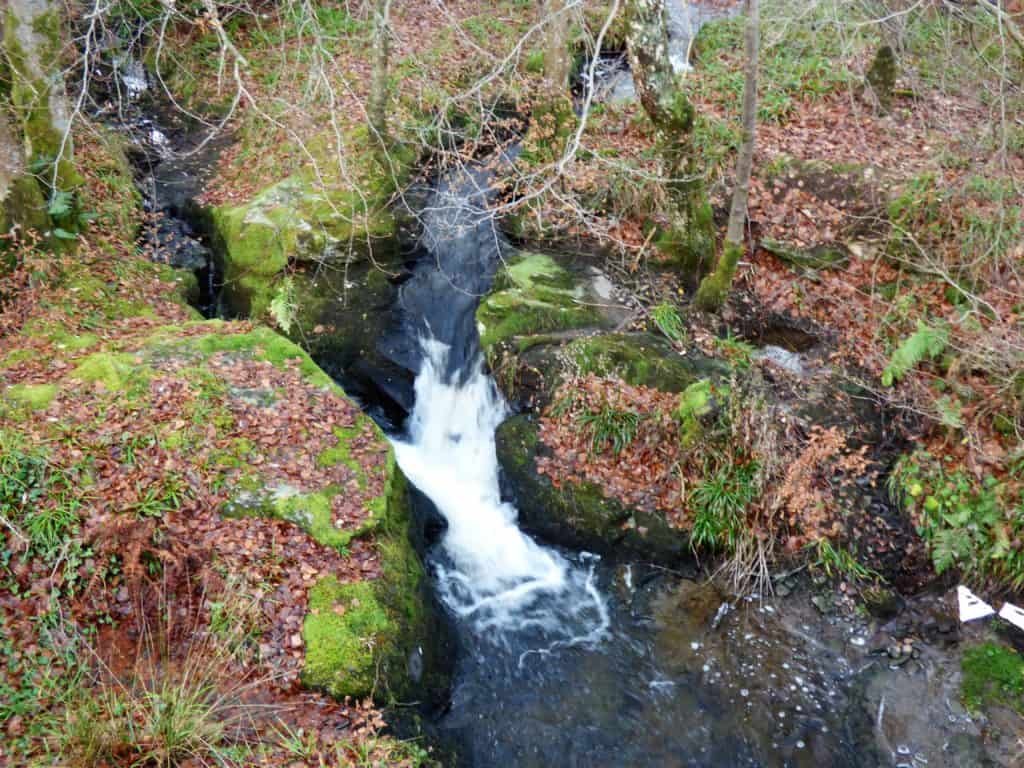 Europe's 5000 Year Old Tree plus the Falls of Dochart - Luxurious Nomad