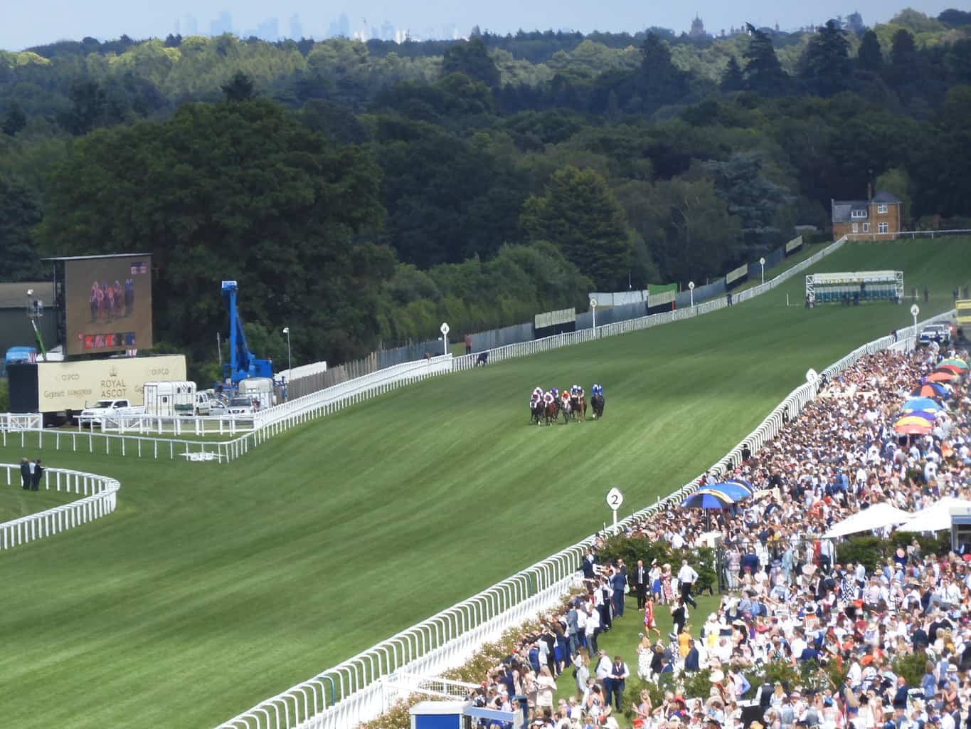 Royal Enclosure at Royal Ascot - Luxurious Nomad