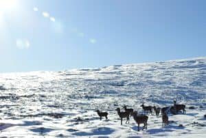 Glencoe Massacre and Glen Etive