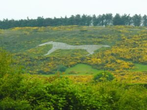 Mormond Hill White Horse