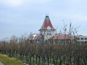 Zvonko Bogdan Winery