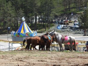 Serbia Road Trip to Zlatibor Region (Post 6 of 9)